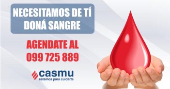 Condiciones para donar, ingrese aquí