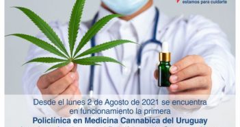 Medicina cannabica